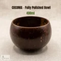 Premium polished coconut shell bowl handmade eco-friendly product display